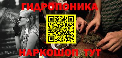 мдпв Пугачёв