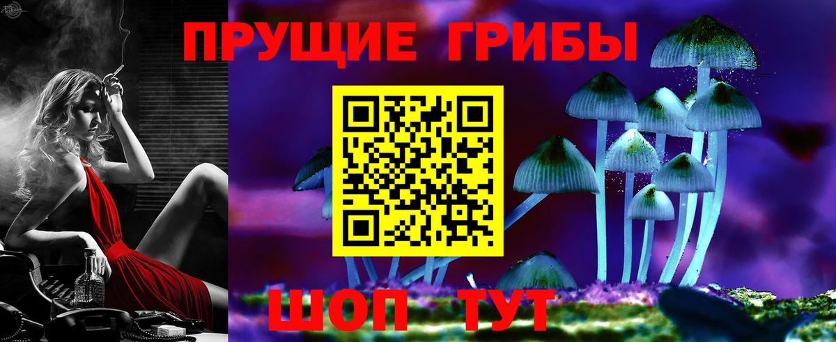 Новотроицк  Псилоцибиновые грибы прущие грибы  Вход с VPN 